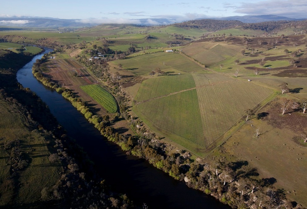 Eco Detection monitoring at Meadowbank Winery for DEP