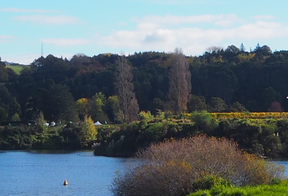 Waikato’s Water Woes 